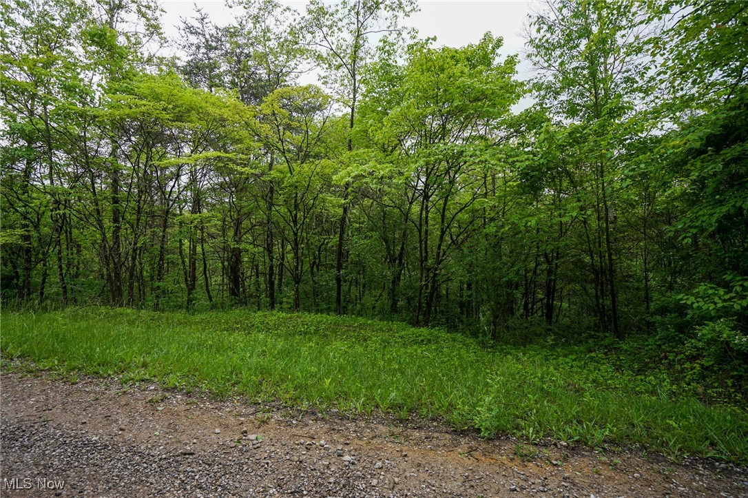 Township Rd 460, Woodsfield, Ohio image 24