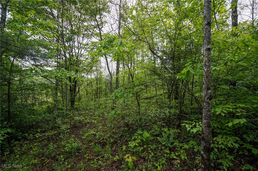 Township Rd 460, Woodsfield, Ohio image 14