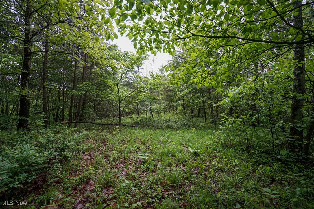 Township Rd 460, Woodsfield, Ohio image 12