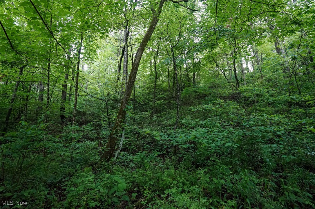 Township Rd 460, Woodsfield, Ohio image 3