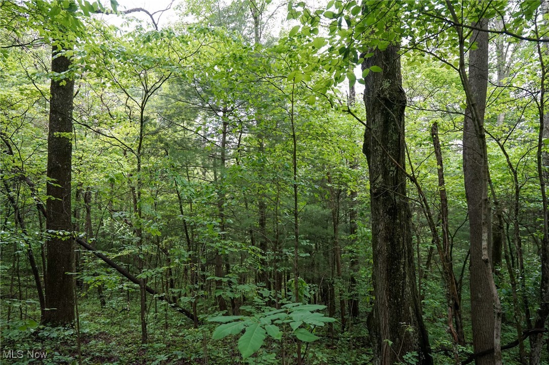Township Rd 460, Woodsfield, Ohio image 18