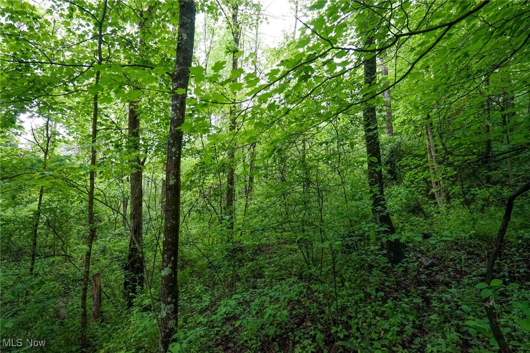 Township Rd 460, Woodsfield, Ohio image 2