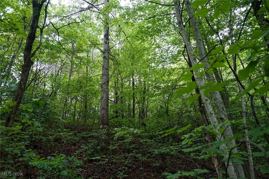 Township Rd 460, Woodsfield, Ohio image 23