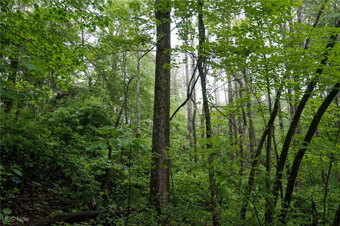 Township Rd 460, Woodsfield, Ohio image 7