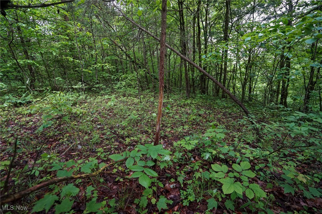 Township Rd 460, Woodsfield, Ohio image 13