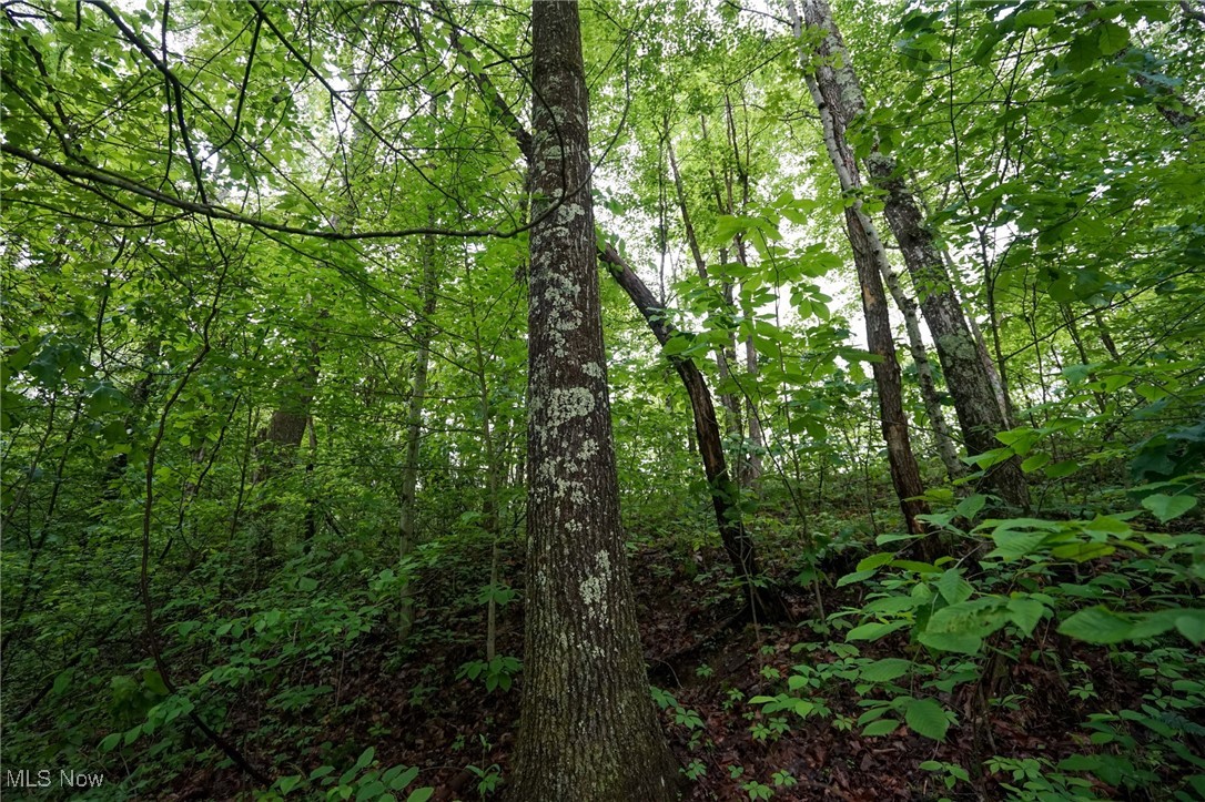 Township Rd 460, Woodsfield, Ohio image 8