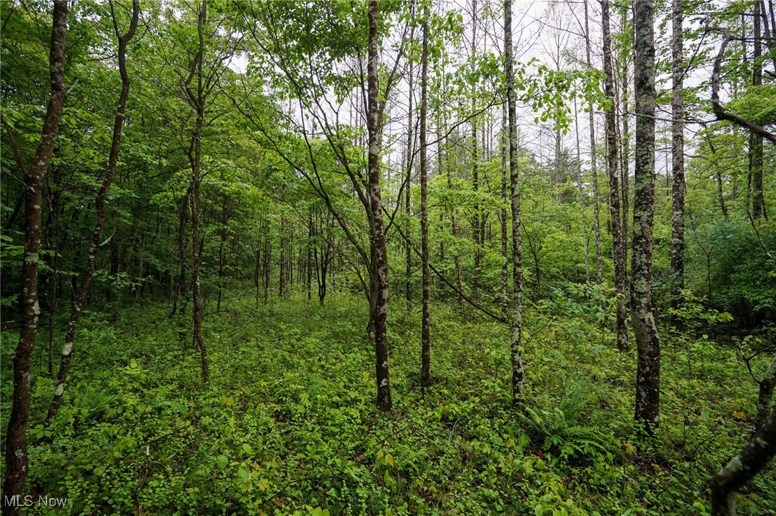 Township Rd 460, Woodsfield, Ohio image 1