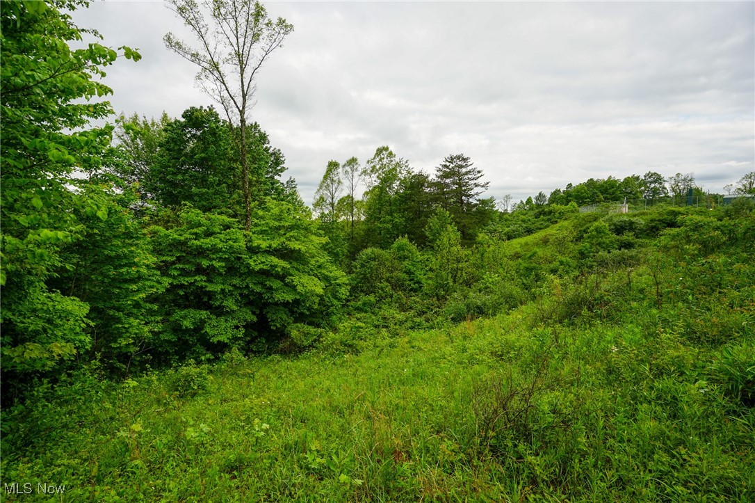 Township Rd 460, Woodsfield, Ohio image 16