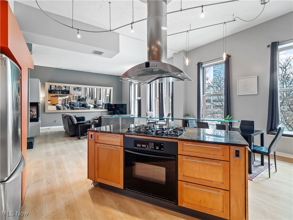 408 W Saint Clair Avenue #307, Cleveland, Ohio image 14