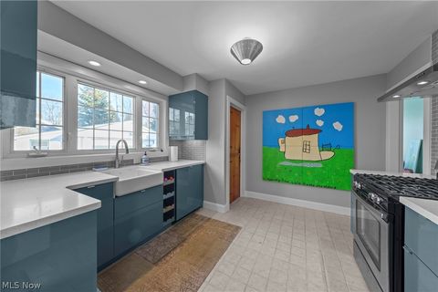 Tiny photo for 1202 Locust Drive, Ashtabula, OH 44004 (MLS # 5190649)