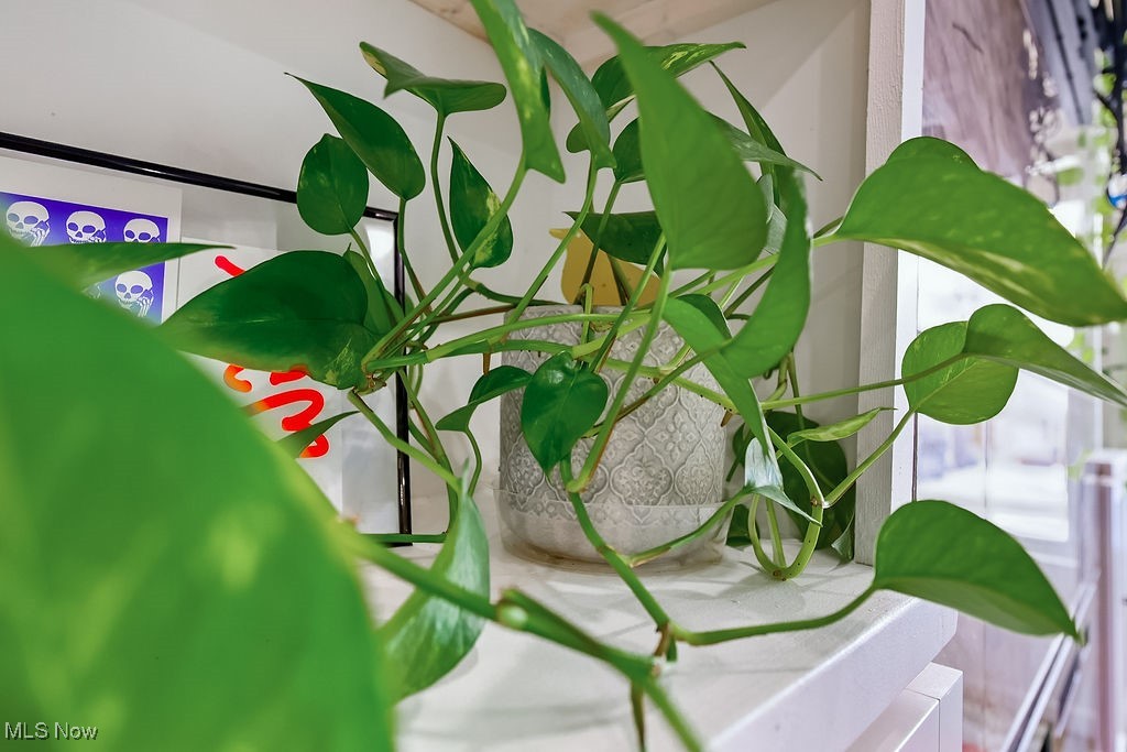 Randall Park - Residential