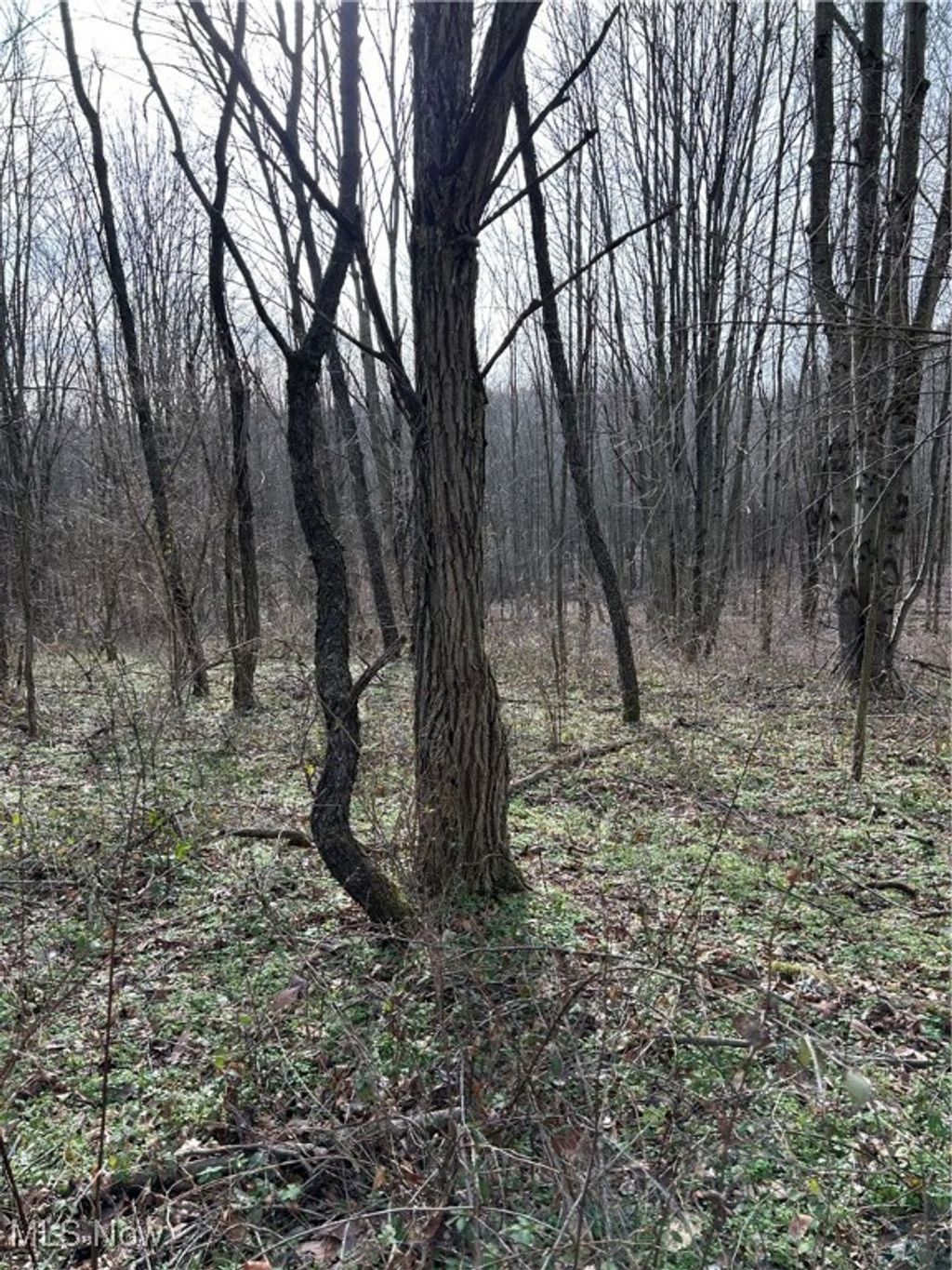 Photo of Mace Road, Carrollton, OH 44615 (MLS # 5178297)