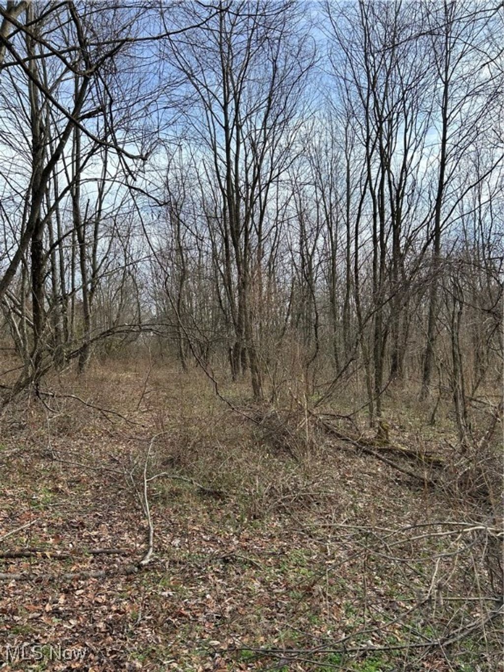 Photo of Mace Road, Carrollton, OH 44615 (MLS # 5178297)