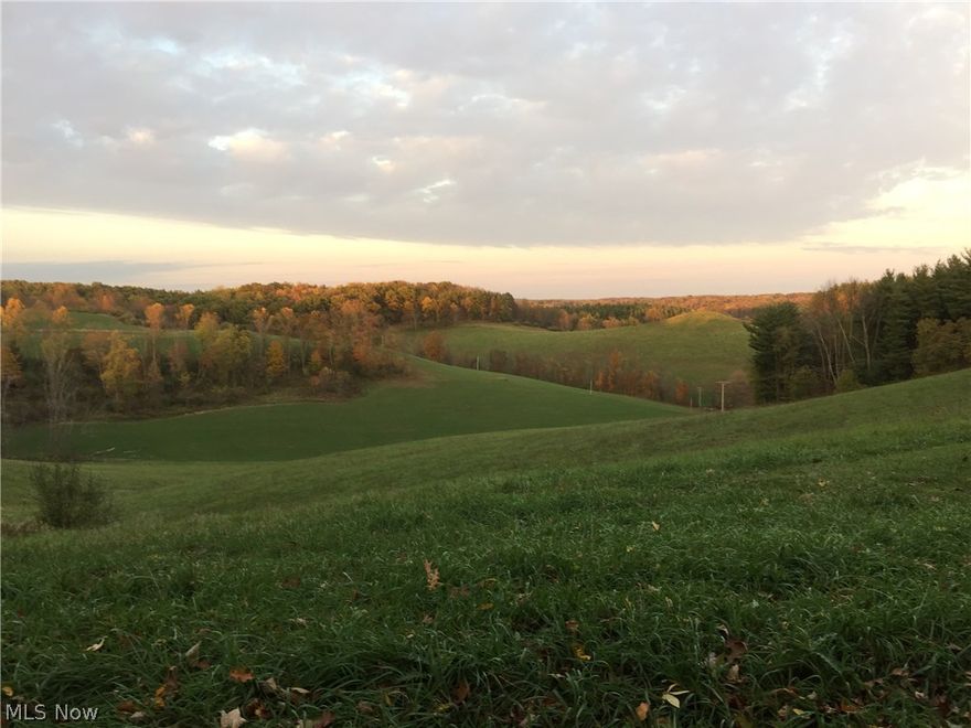 Awesome area with tons of wildlife and cleared land.  Minerals will convey.  Feel free to walk the property, at your own risk, and enjoy the views.