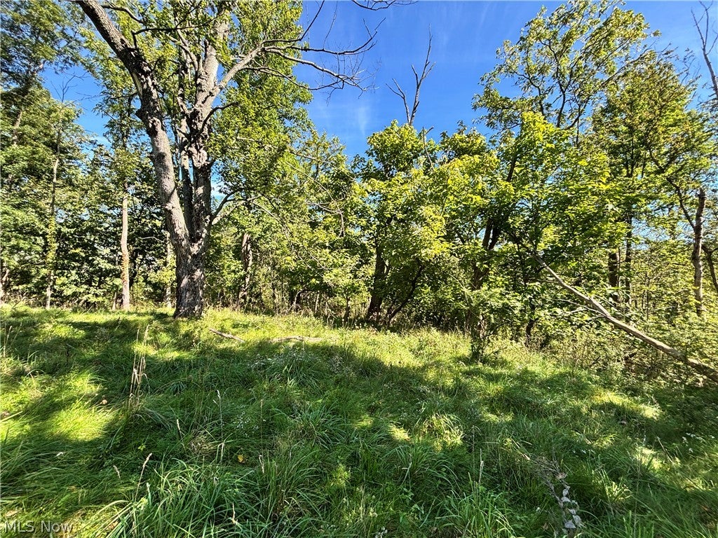 787 ARCHER Road