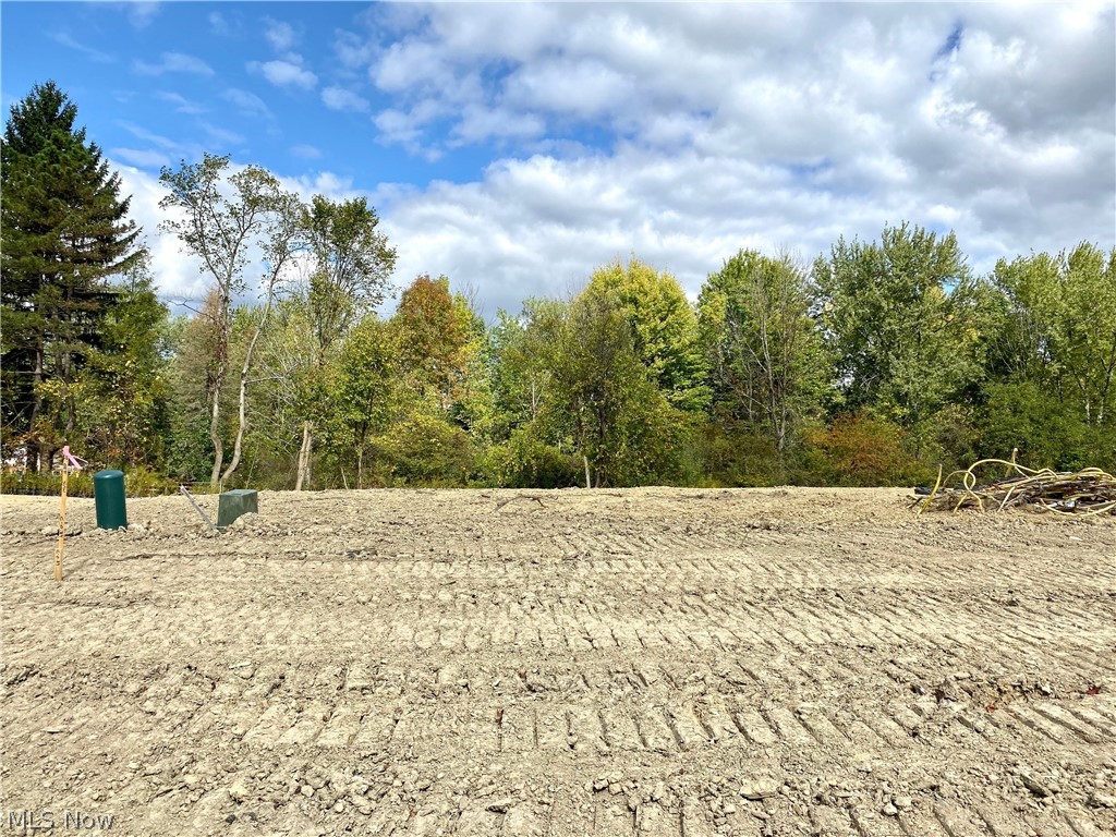 The Reserve at North Revere - Land