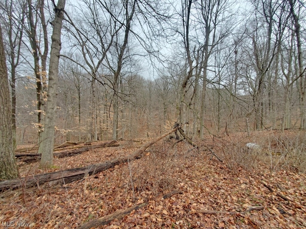 Charles Murrey Prop - Residential