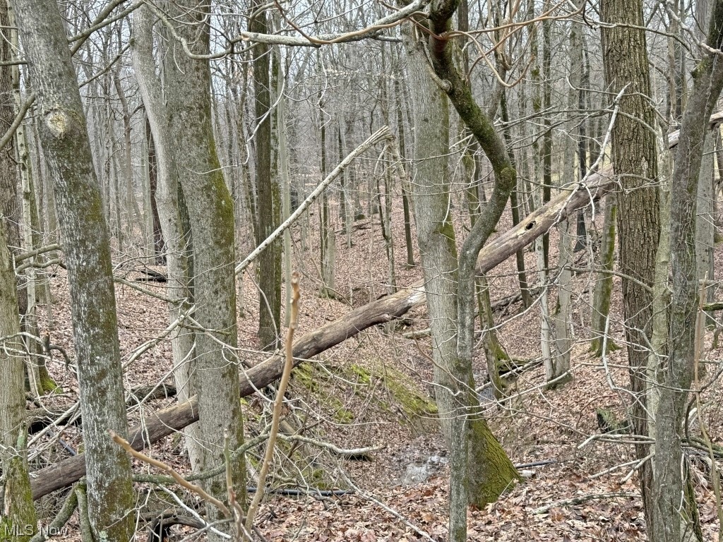 Charles Murrey Prop - Residential