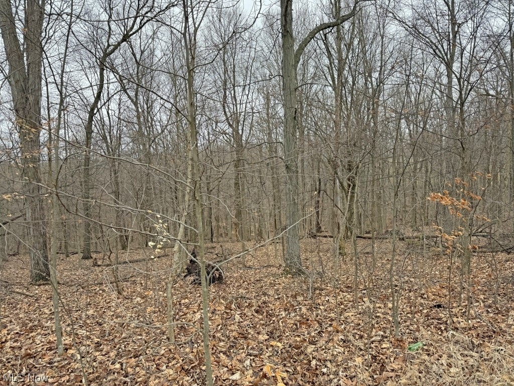 Charles Murrey Prop - Residential