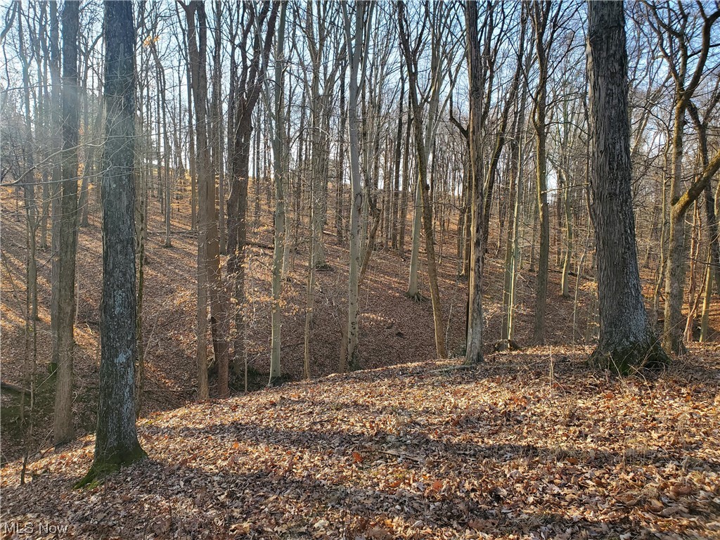 Charles Murrey Prop - Residential