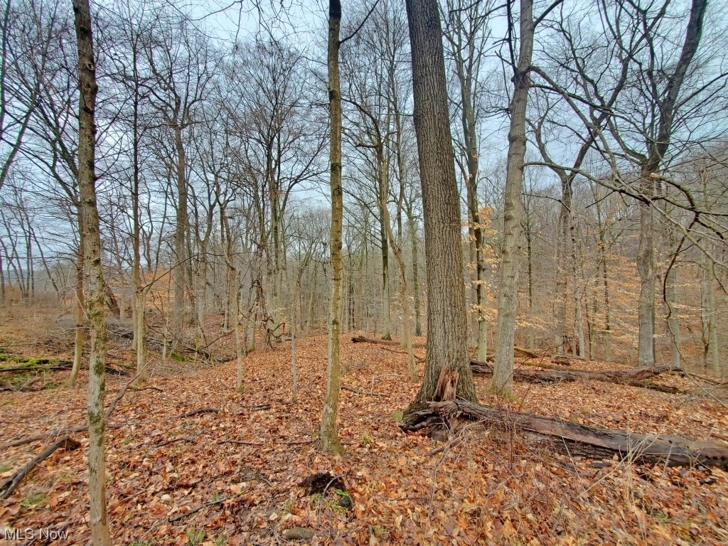 Charles Murrey Prop - Residential