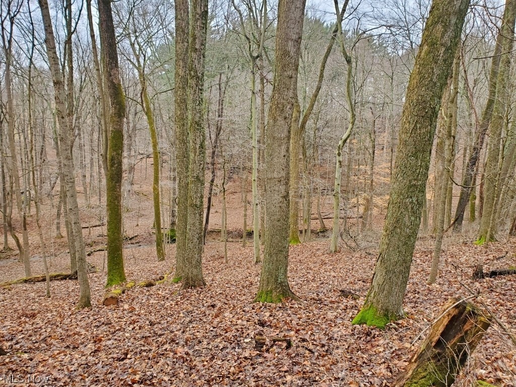 Charles Murrey Prop - Residential