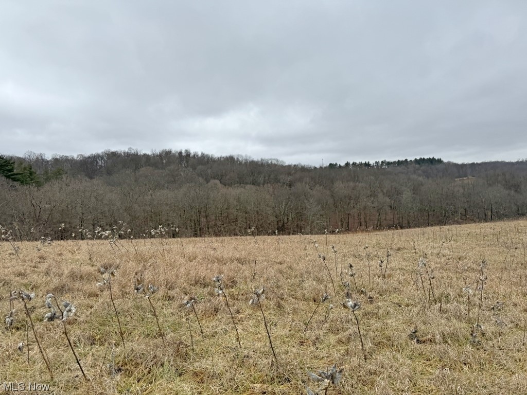 Charles Murrey Prop - Residential