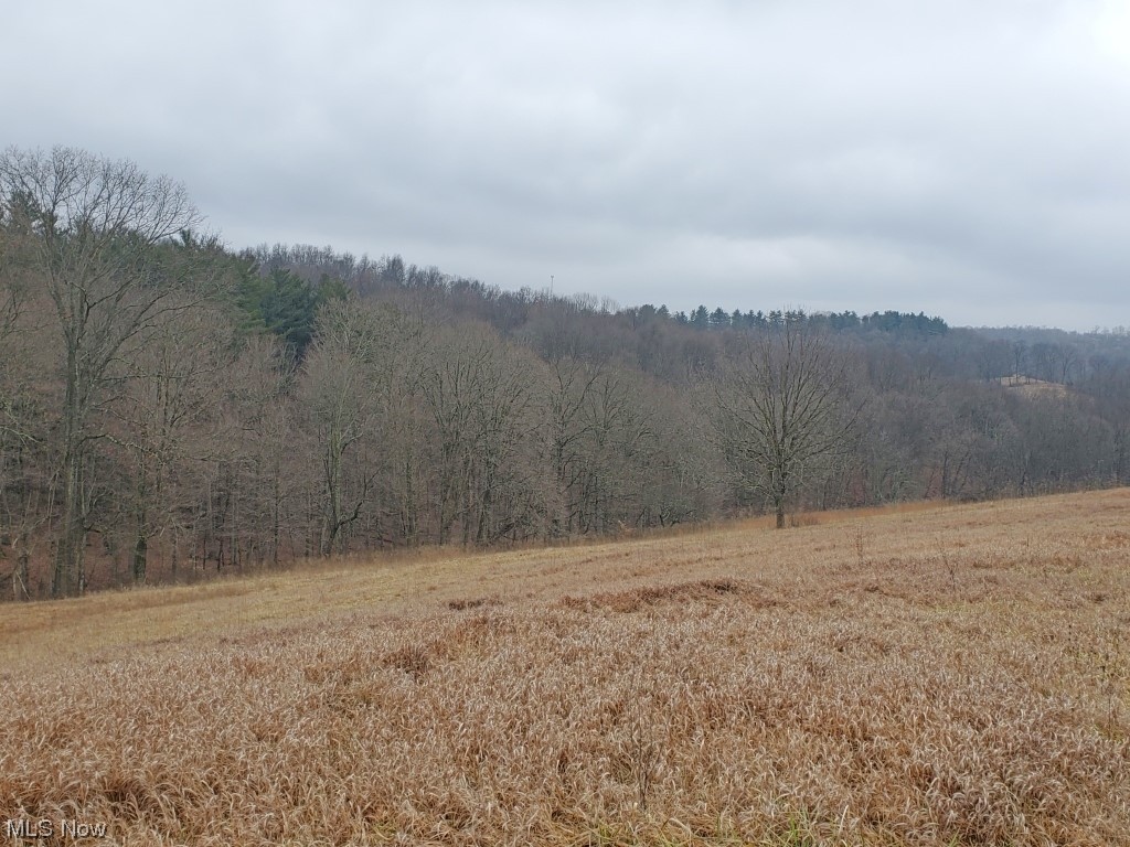 Charles Murrey Prop - Residential