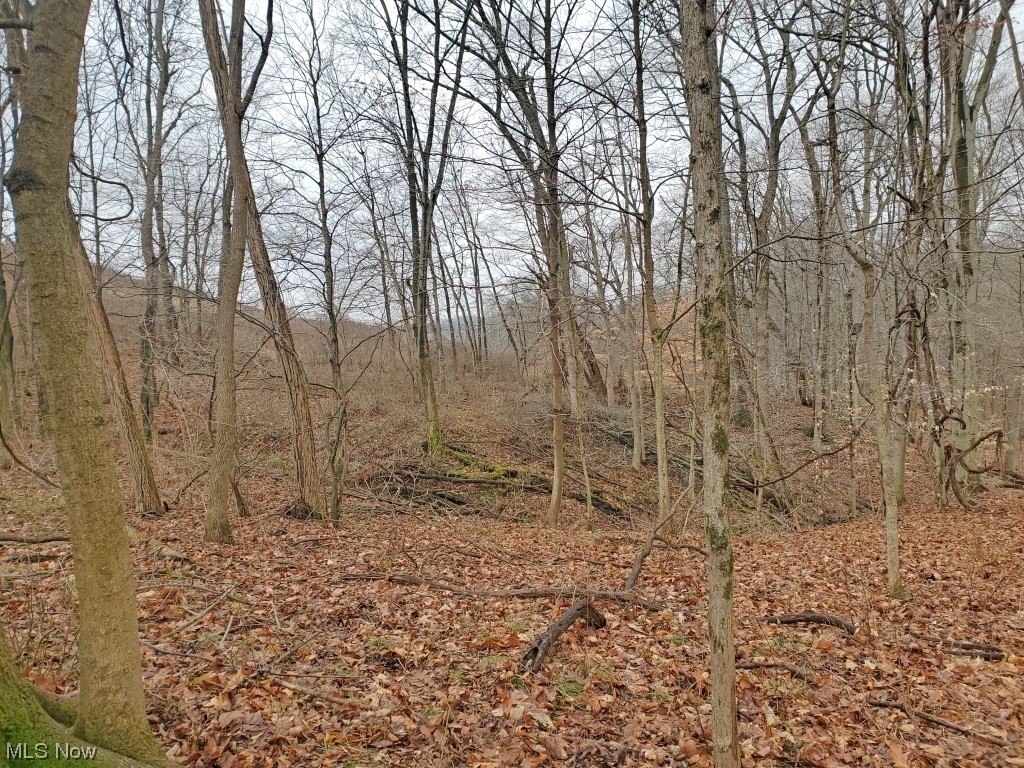 Charles Murrey Prop - Residential