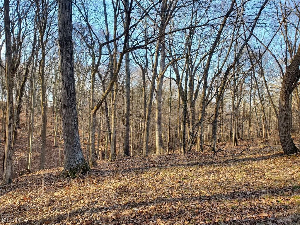 Charles Murrey Prop - Residential