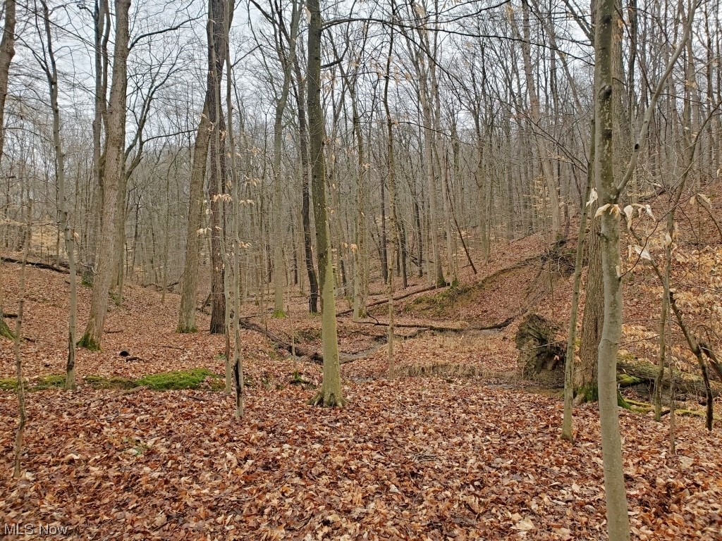 Charles Murrey Prop - Residential