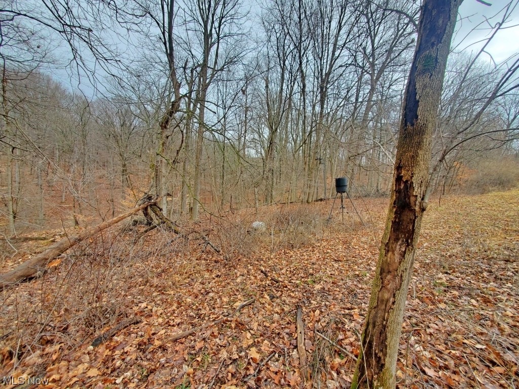 Charles Murrey Prop - Residential