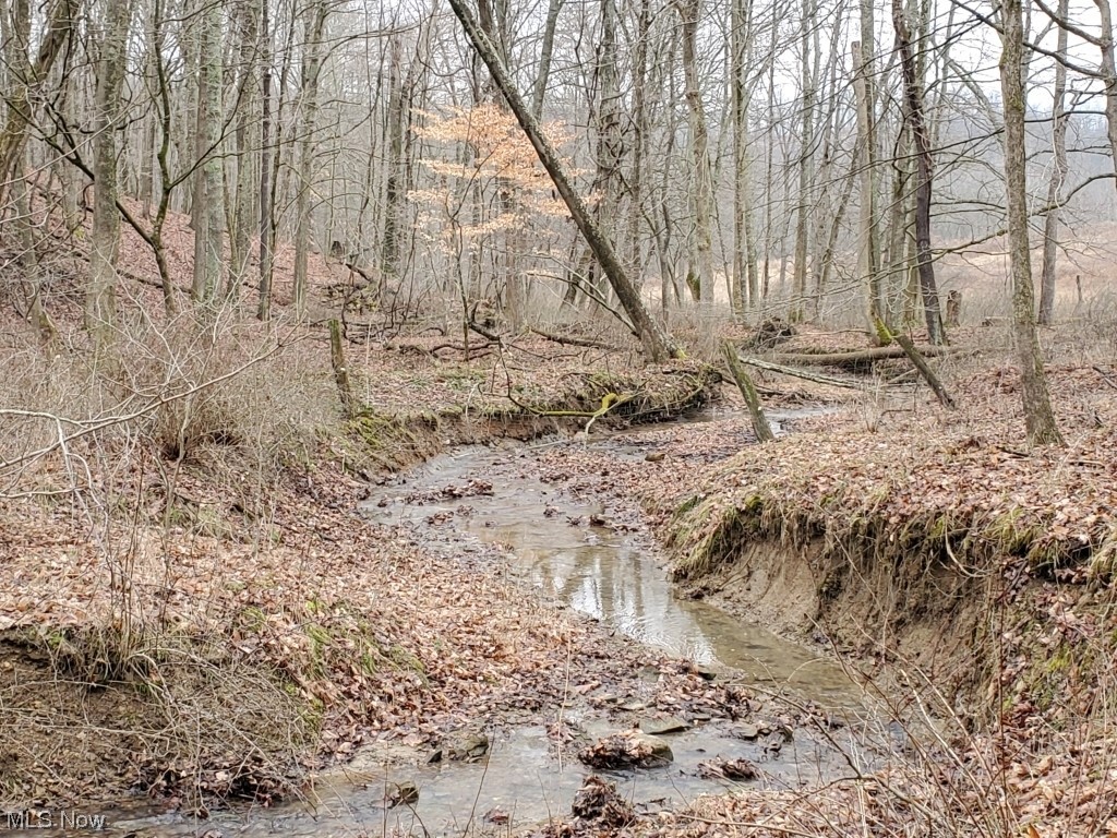 Charles Murrey Prop - Residential