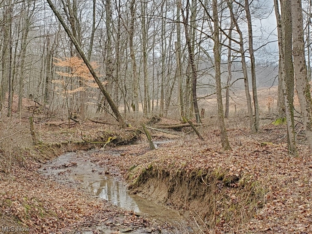 Charles Murrey Prop - Residential