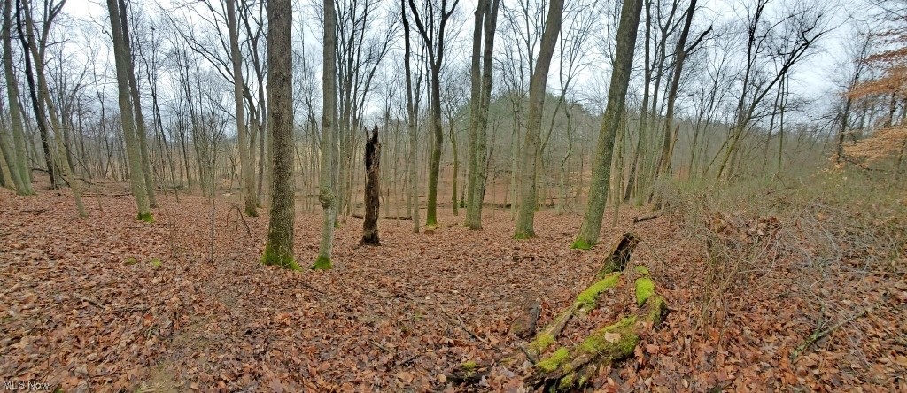 Charles Murrey Prop - Residential