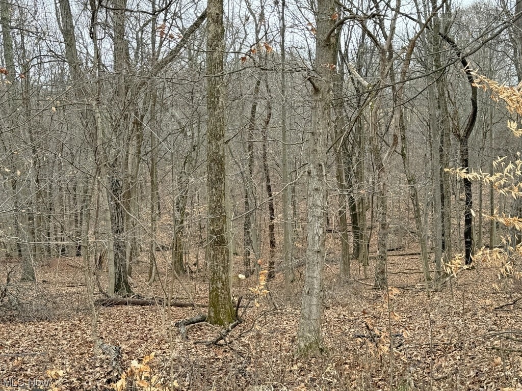 Charles Murrey Prop - Residential