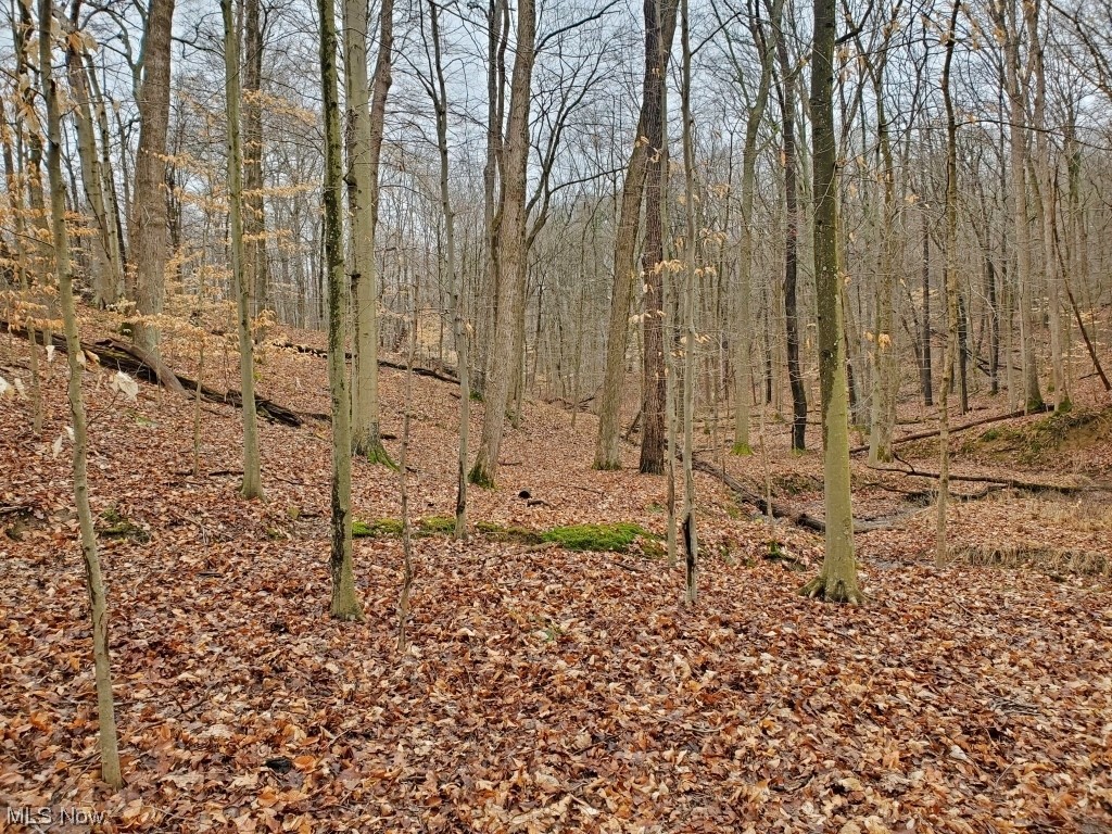 Charles Murrey Prop - Residential