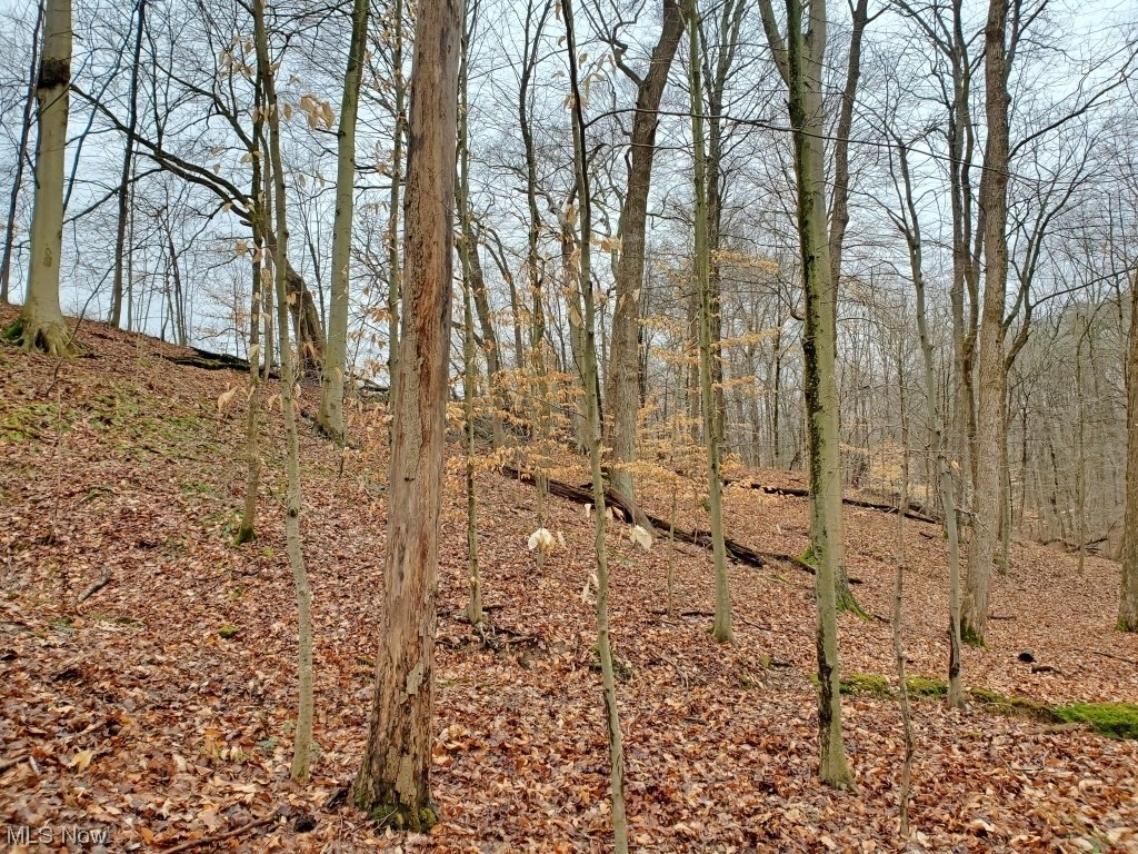 Charles Murrey Prop - Residential