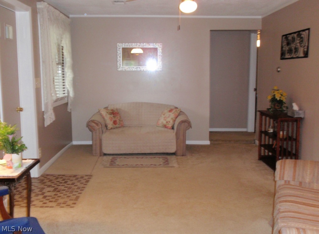 Meadowbrook Lake - Residential