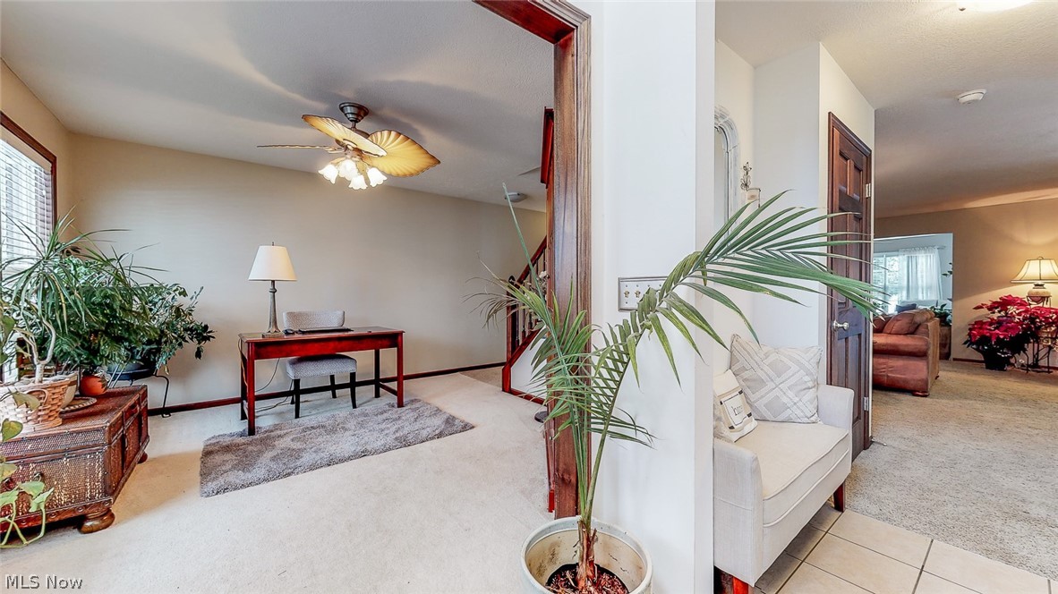 Meadows/Mogadore - Residential