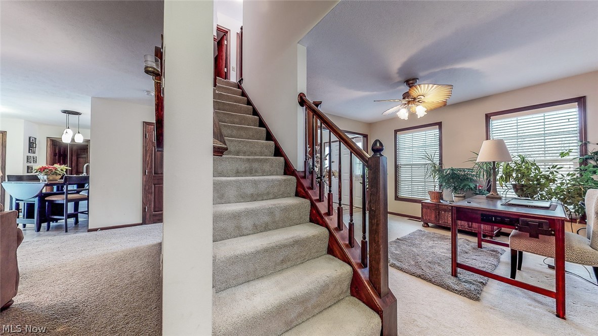 Meadows/Mogadore - Residential