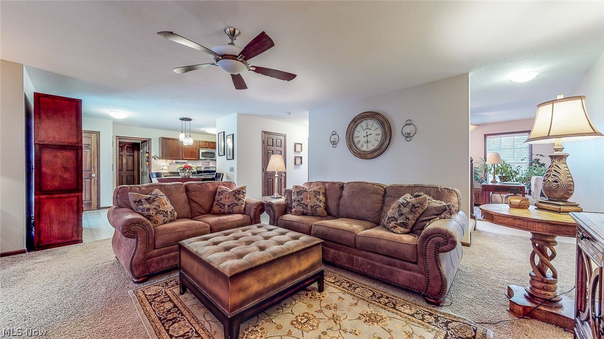 Meadows/Mogadore - Residential