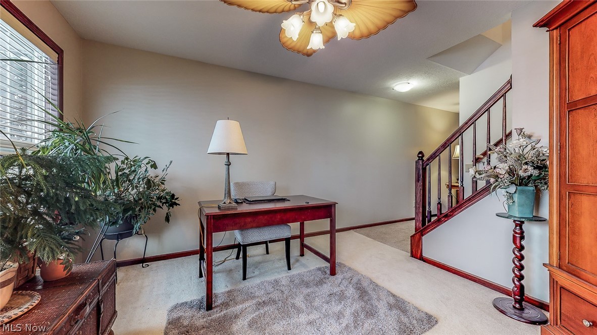 Meadows/Mogadore - Residential