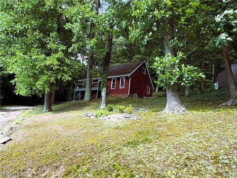 Photo of 821 Lynnwood Drive, Minerva, OH 44657 (MLS # 5221800)