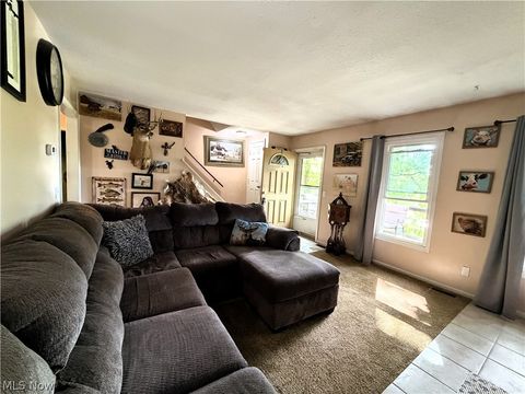 Tiny photo for 821 Lynnwood Drive, Minerva, OH 44657 (MLS # 5221800)