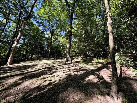 Tiny photo for 821 Lynnwood Drive, Minerva, OH 44657 (MLS # 5221800)
