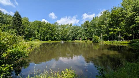 Homes For Sale - 4370 Murphy Road<br/> Thompson, OH 44086