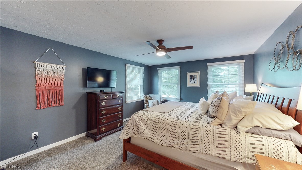 Colony Terrace - Residential