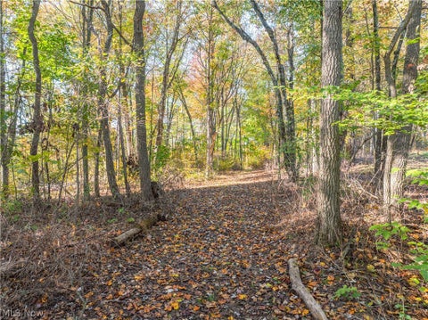 Tiny photo for 11560 Ralston Road, Kimbolton, OH 43749 (MLS # 5255389)