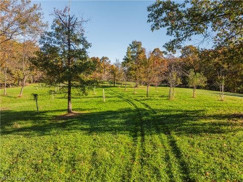 Tiny photo for 11560 Ralston Road, Kimbolton, OH 43749 (MLS # 5255389)